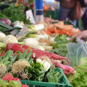 Biologische markt Frederiksoord