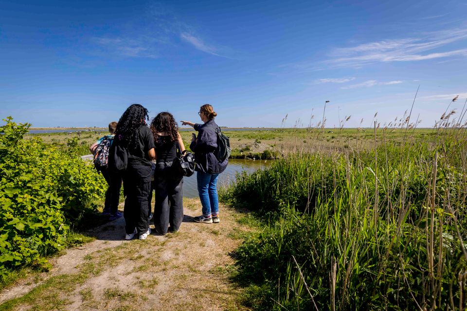 Expeditie Nieuw Land Oostvaardersplassen Almere