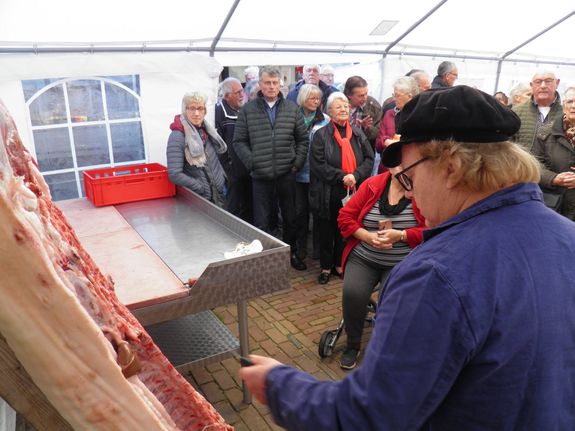 Varken op de ladder