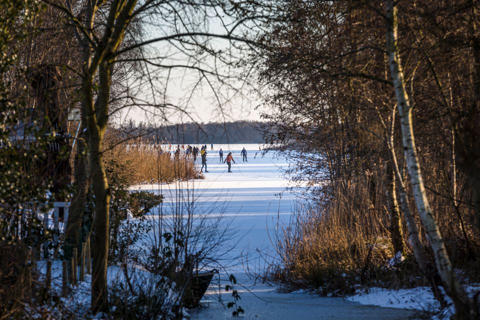 Doorkijkje Nannewiid