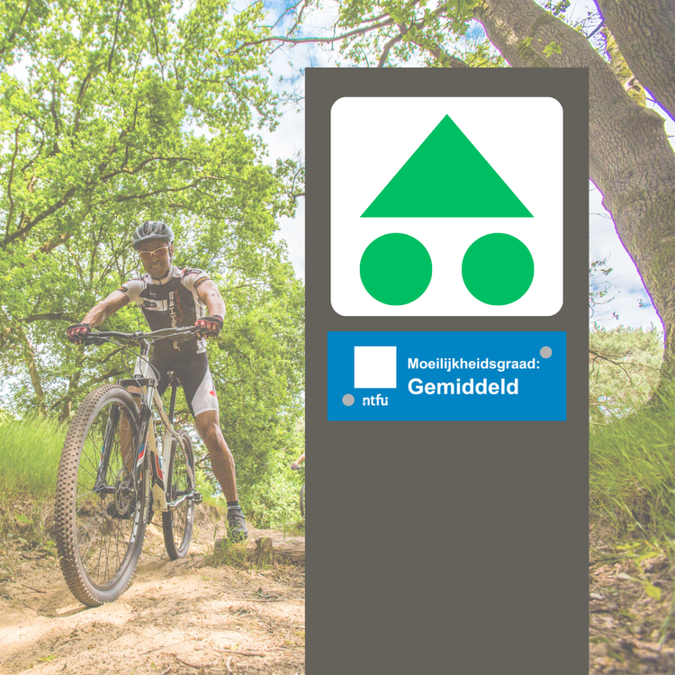 Volg de groene bewegwijzering van de driehoek met twee rondjes. De bordjes vind je op palen langs de route.