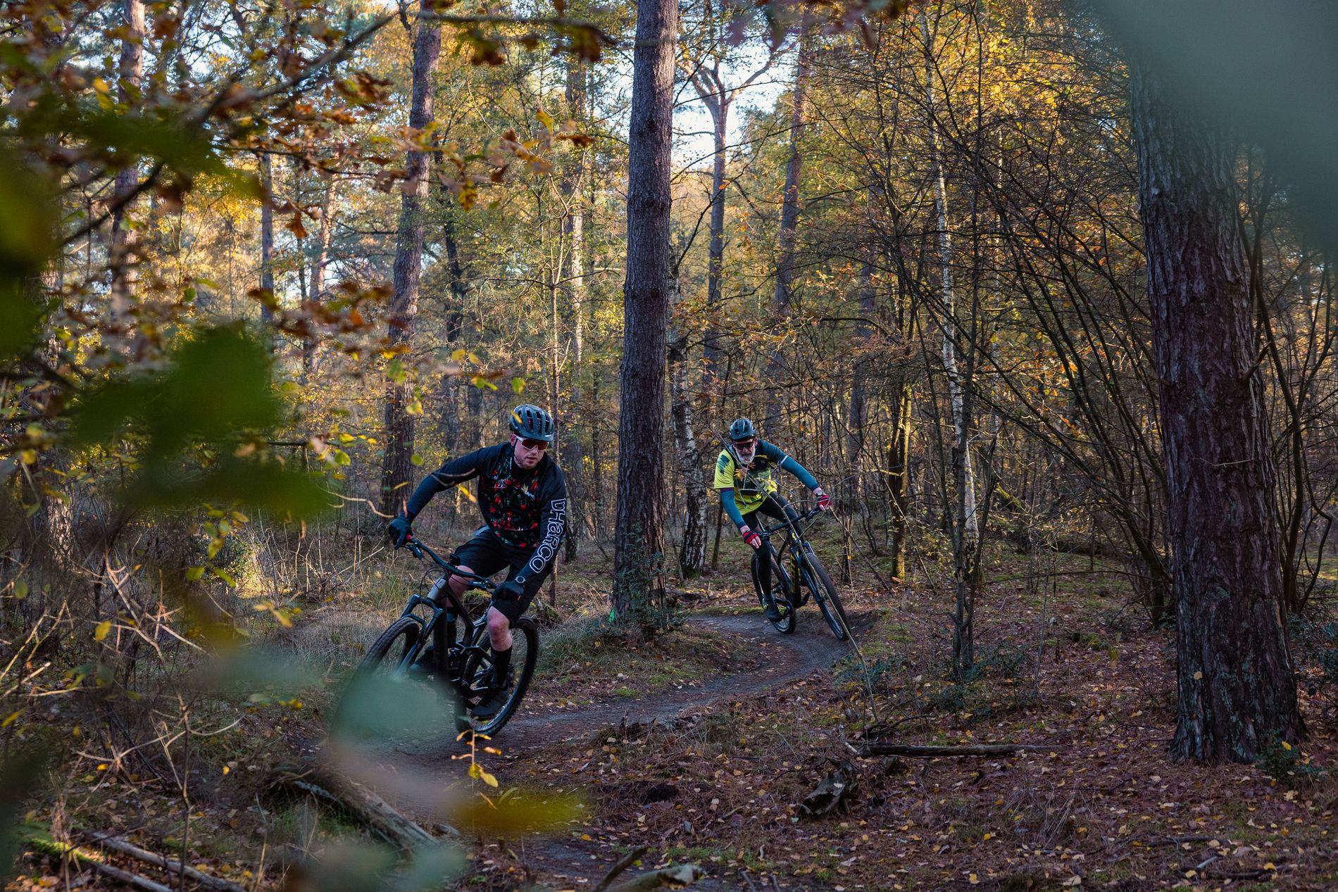 Mountainbikers op de mtb route in Waalre