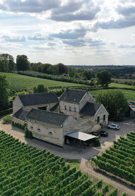 Vineyard Apostelhoeve Maastricht