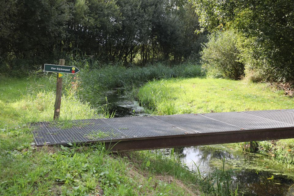 bruggetje over beekje met gras begroeide oevers