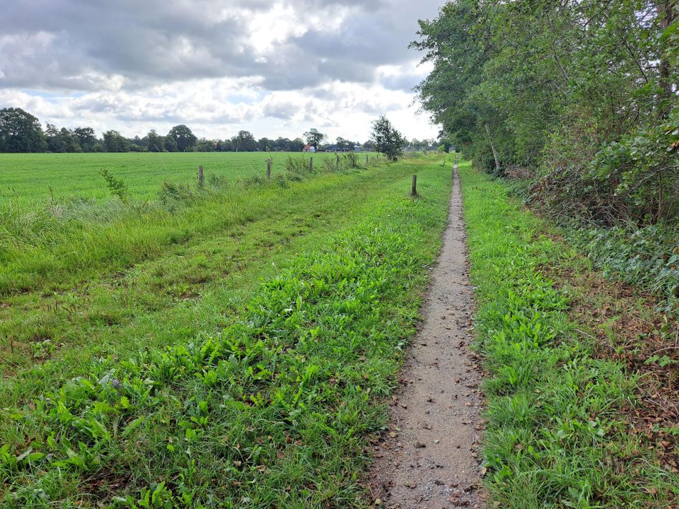 Wandelen langs wijken en grenzen