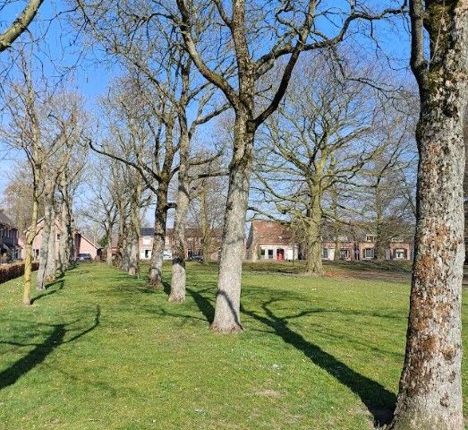 een bijzonder laantje in de Fratershof