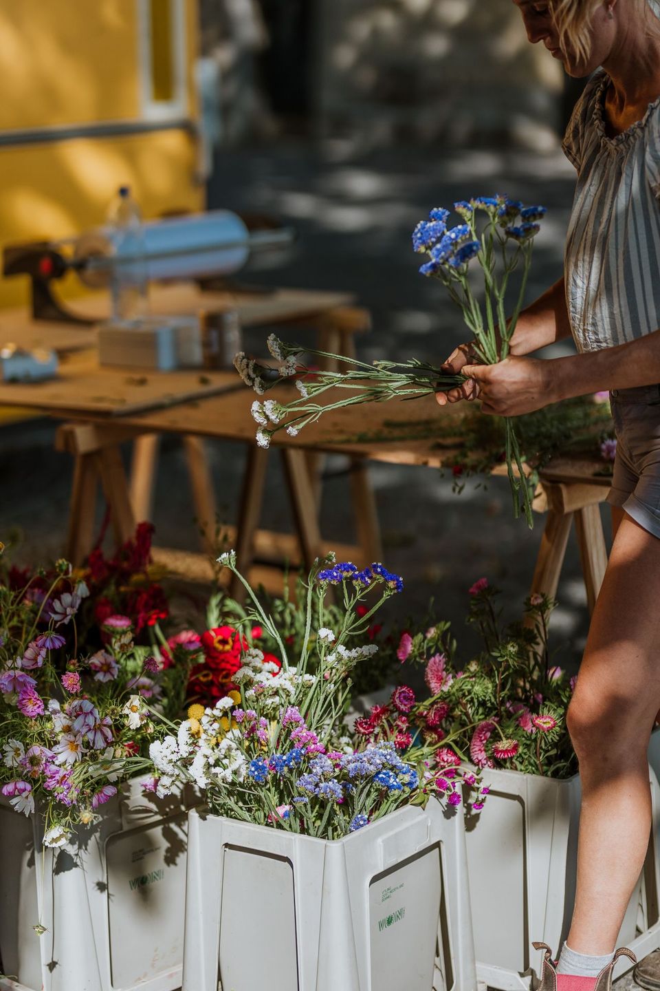 Maastricht Wyck organic market flowers person