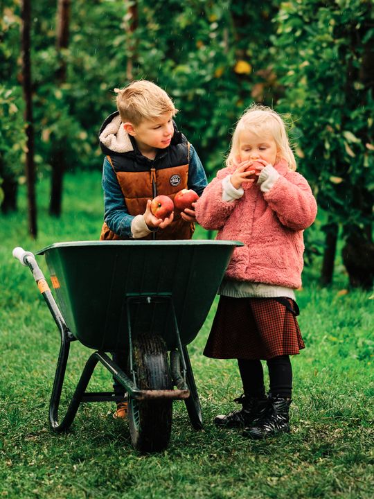 Een jongetje en meisje eten een appel uit een kruiwagen in de boomgaard van Vink Fruitboerderij