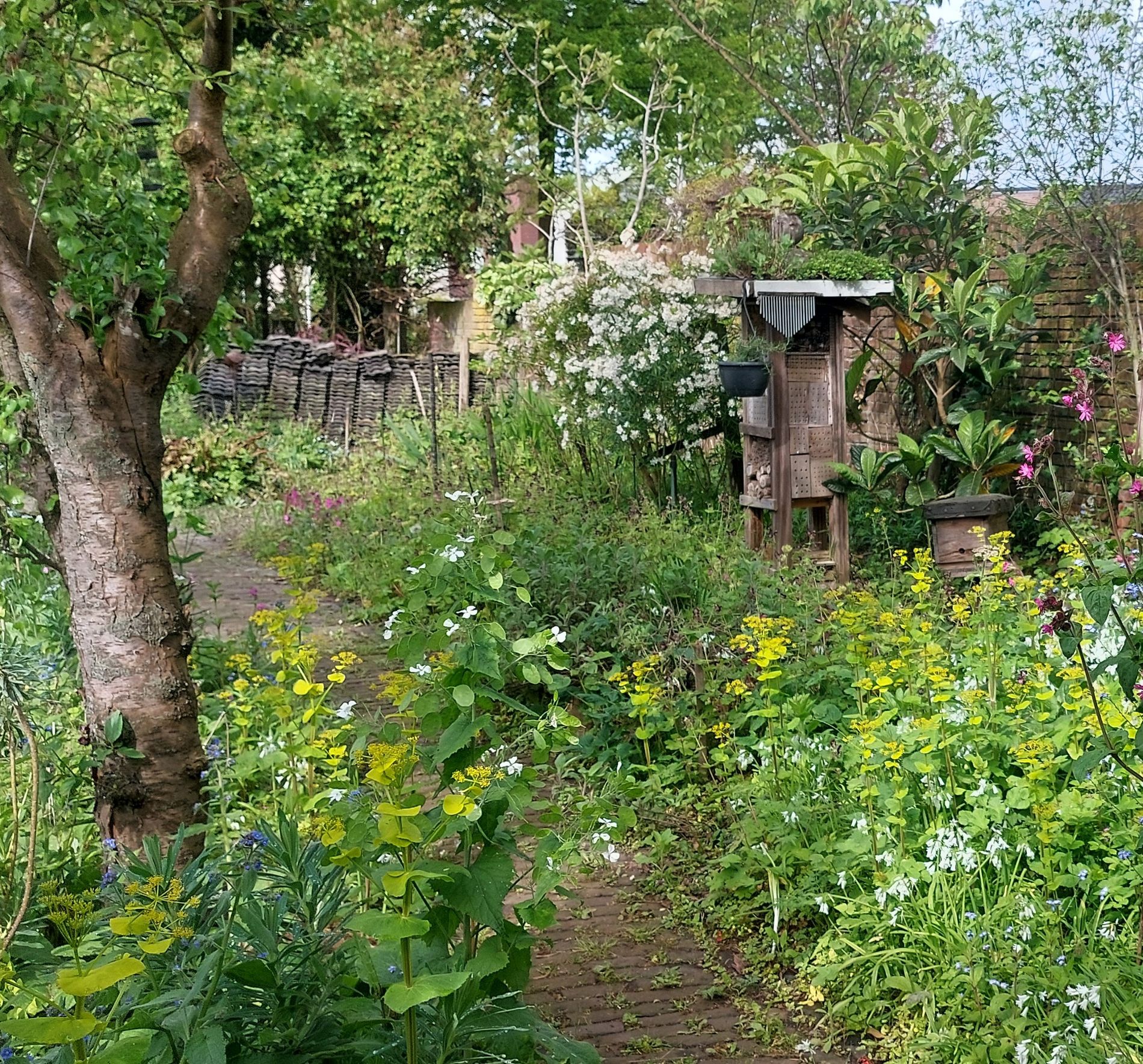 Ecotuin Neffe d'n Bocht in Oss
