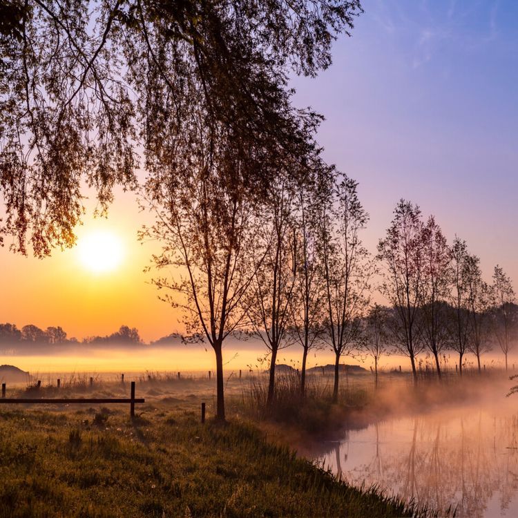 Landschap in Oisterwijk gehuld in de mist in goudbruine kleuren. Links velden met aan de rand bomen, rechts een brede sloot en boven in de foto een opkomende of ondergaande zon..