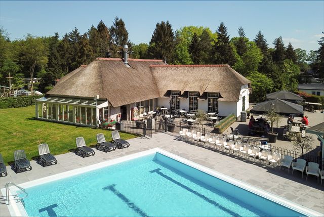 Buitenzwembad met ligbedden en terras bij Vakantiepark De Thijmse Berg. Op de achtergrond staat het karakteristieke gebouw met rieten dak, omringd door groen.