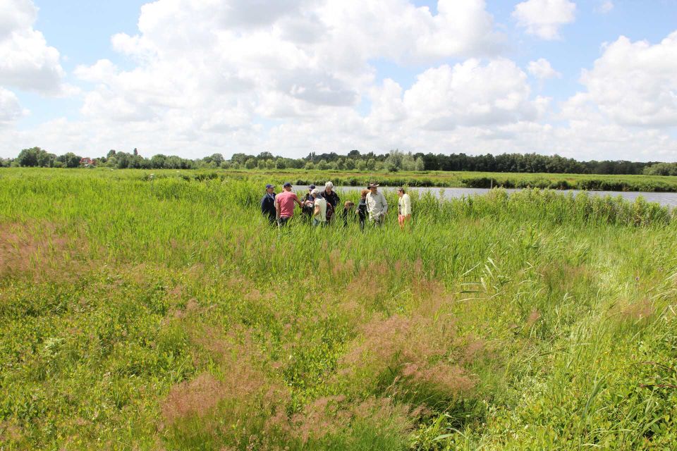 Mensen in de natuur in het weiland