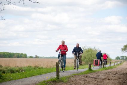 Fietsers op het Dwingelderveld