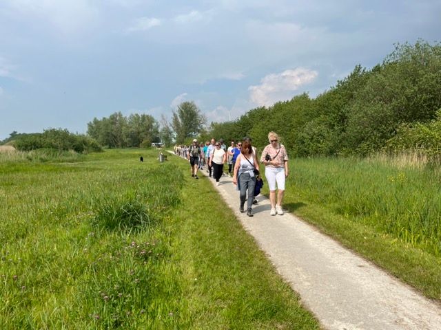 Wandeling Makkum bussafari 2024