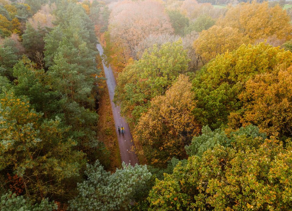 Stadsbos013 vanuit de lucht, je ziet fietsers op een rood fietspad.