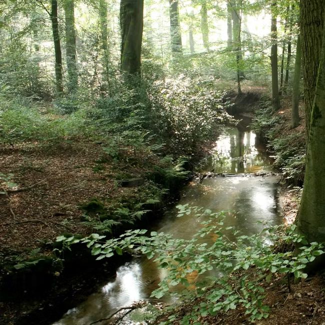 Beekdal Staverden