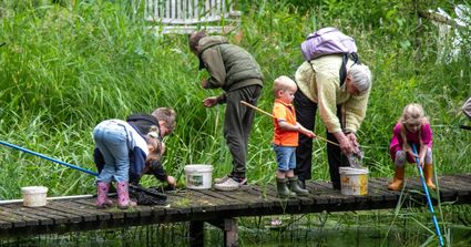 Froschkonzert im IVN Laarbeek
