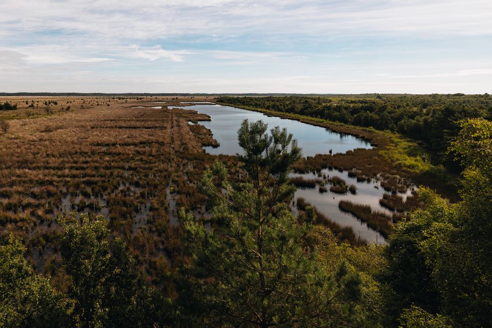 Een dronefoto van het Fochteloërveen.