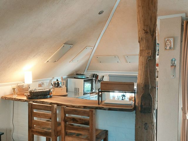 Kitchenette met magnetron hetelucht oven, eierkoker en tosti apparaat.