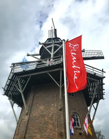 Drenthe vlag
