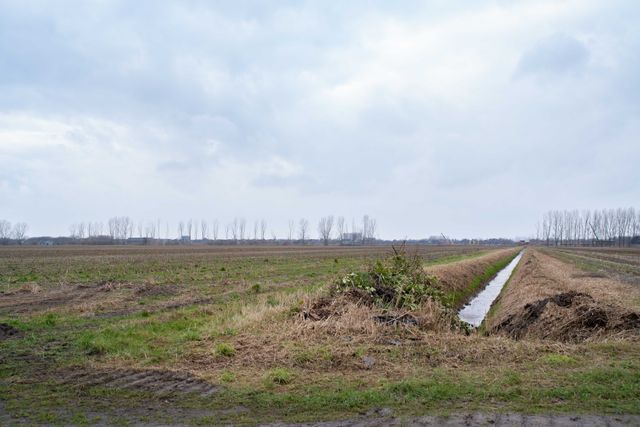 Grondgebied waar Zuiderhage ontwikkeld gaat worden.