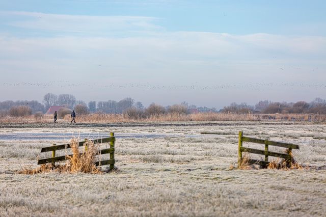 Broek Bloksloot winter hek weiland lanschap