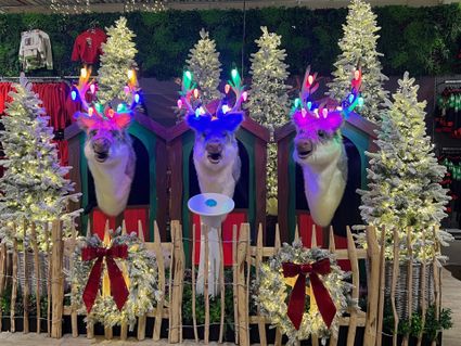 Weihnachtsmarkt-Scouting Lieshout Mariahout