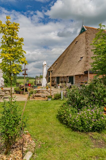 Tuin op Anne-Famkes Pleats