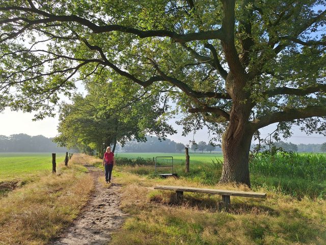 Boswachter Ellen aan het wandelen op een graspaadje  richting het natuurgebied omliggend door koeien in de wei.