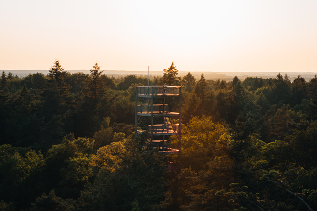 Een man staat bovenop een hoge uitkijktoren en kijkt uit over de bossen van Drenthe.