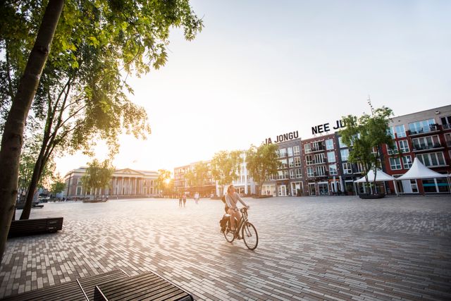 Fietser op het Zaailand