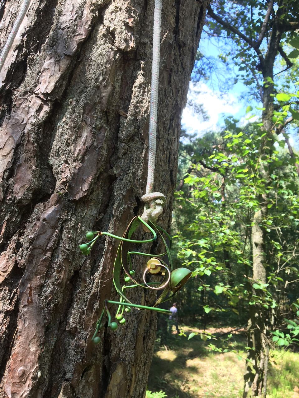 Een cache gevonden tijdens het geocaching.