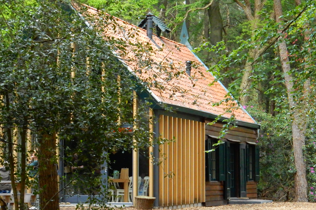 Het houten huisje Landweer middenin de Drentse bossen.