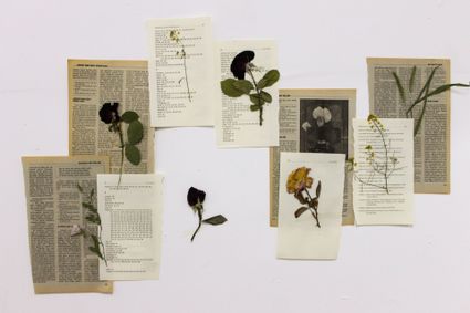 Workshop Black Out Poetry