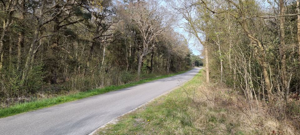 Bomenland Vlieland 1