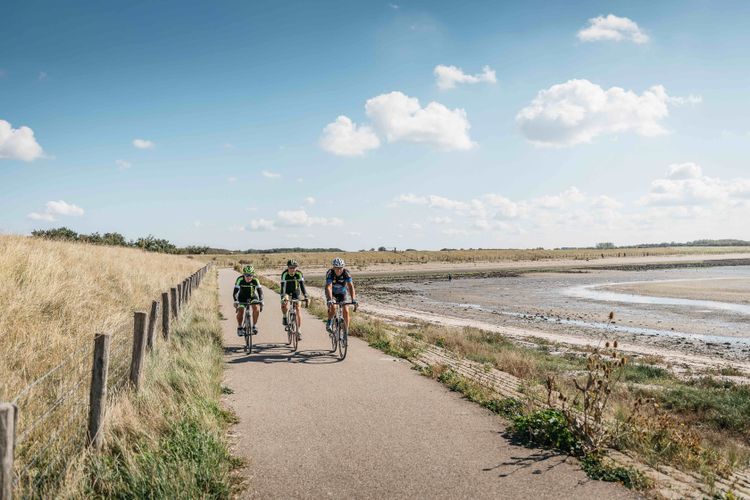 Fietsen Oosterschelde