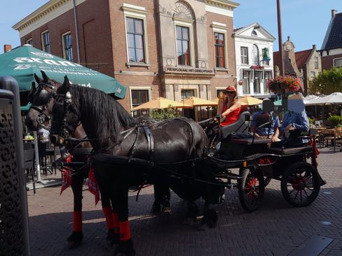 Rondritten met paard en wagen