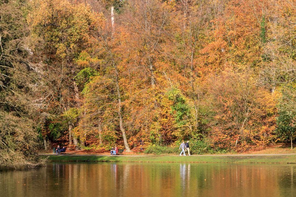 Park Sonsbeek in het najaar