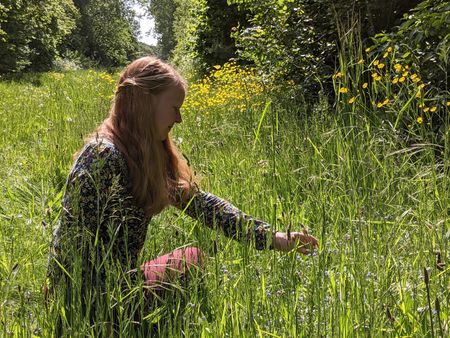 Wildplukwandeling