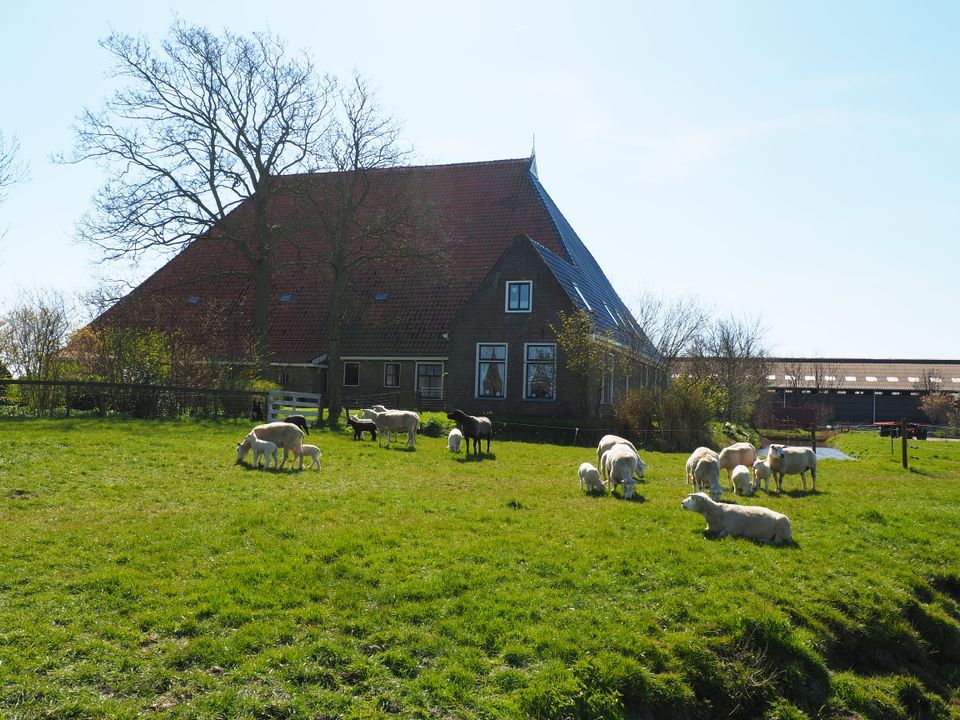 Boerderij Op Arkum