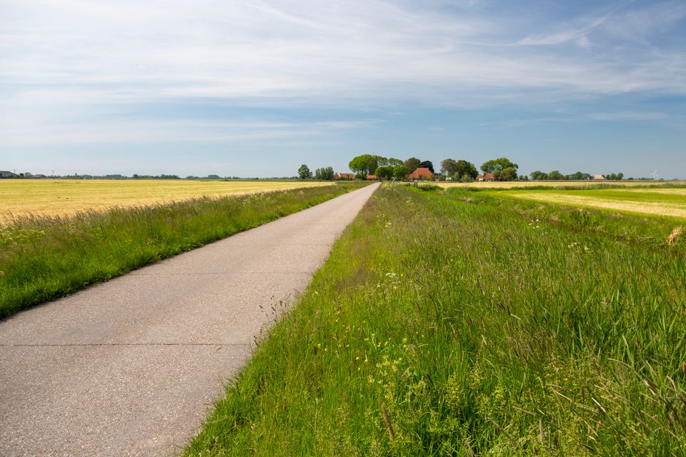 Fietspad Lutkewierum op een zomerdag
