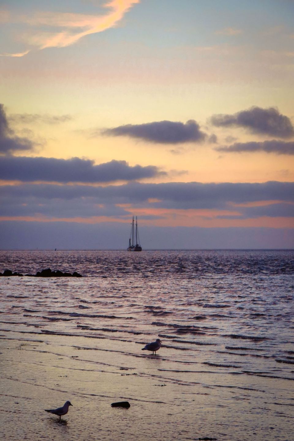 boot op wad bij Vlieland en meeuwen in avondrood