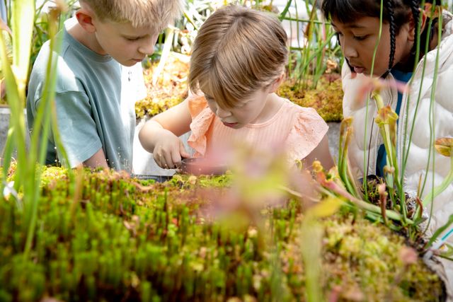 Kinderen bekijken planten met vergrootglas