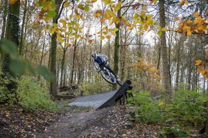 Mountainbiker in een herfstig bos