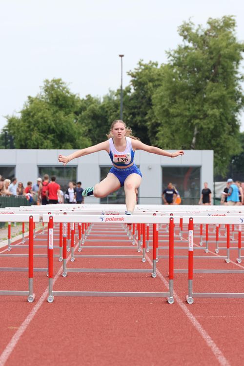 Vrouw die over hordes springt
