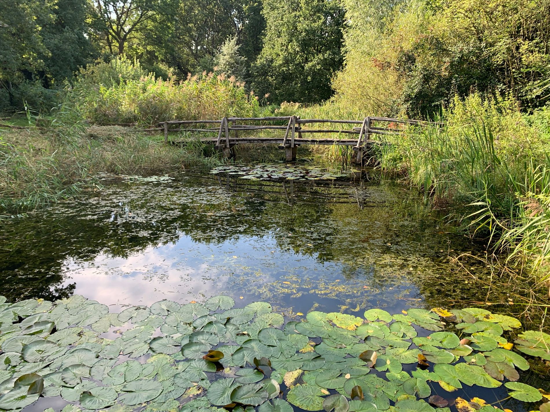 Landmeerse Loop