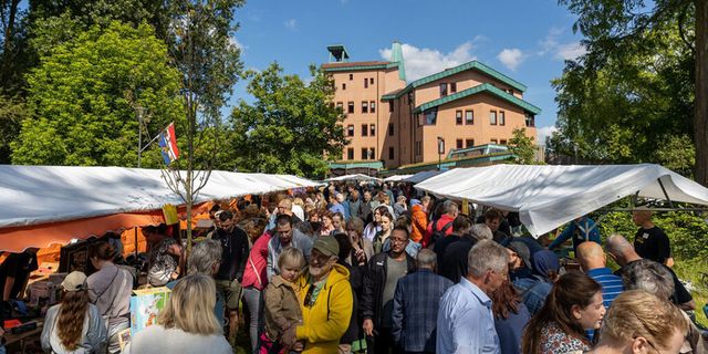 Grote Gestelse Vlooienmarkt buiten en binnen