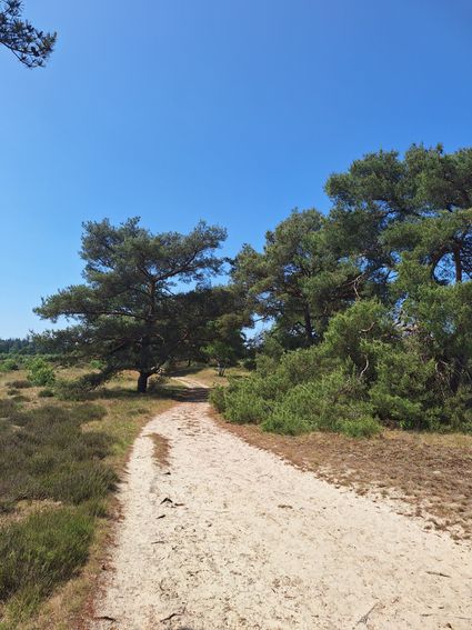 Parkeerplaats Aekingerzand