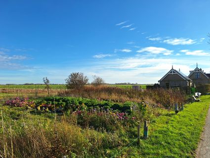 Foodroute van Franeker naar Wad