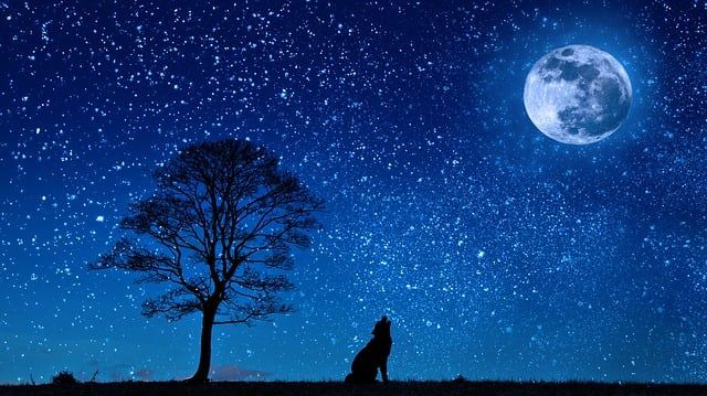 Nacht van de nacht
